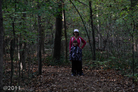 Hemlock Bluffs--the search for the biggest acorn