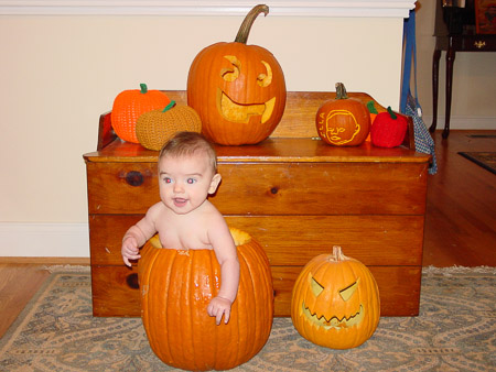 Look at all my pumpkins!!