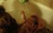 _MG_6599 (2)