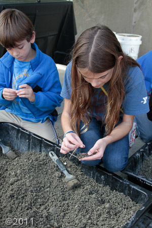 Fossil Days at Science Museum