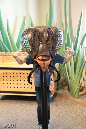 Fossil Days at Science Museum