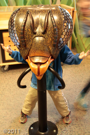 Fossil Days at Science Museum