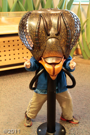 Fossil Days at Science Museum