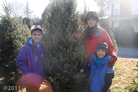 Christmas Tree Time