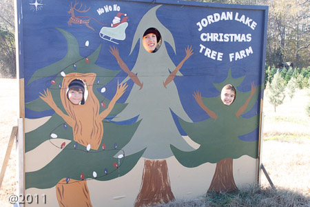 Christmas Tree Time
