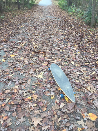 It is autumn!