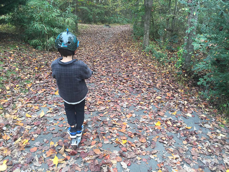 It is autumn!