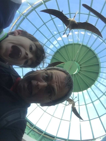 Dinosaurs!