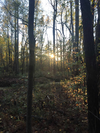 FINALLY the sun comes out .