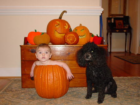 Pumkins N Poodle
