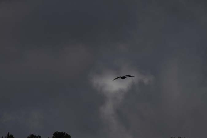 _MG_0680