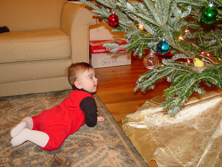 Trying to crawl under the tree