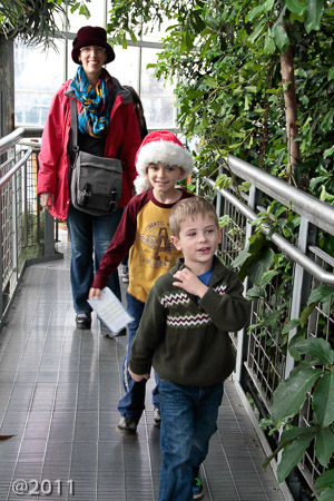 Botanic Gardens a Christmas Eve tradition
