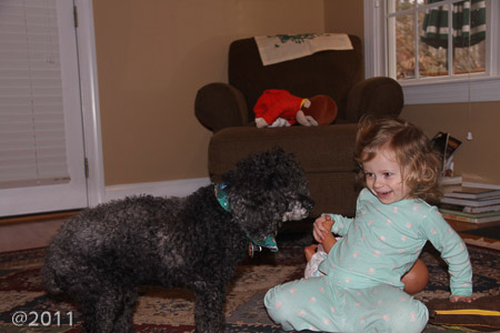 Penny hanging out with Farley