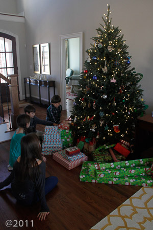 Warren Family Christmas in Wilson