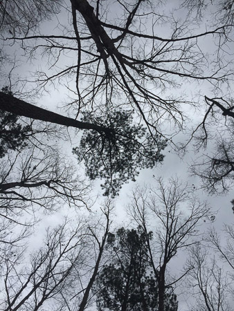 Raven Rock Christmas Eve Hike--Warm! Wet! Flooded! Fun 5+ miles