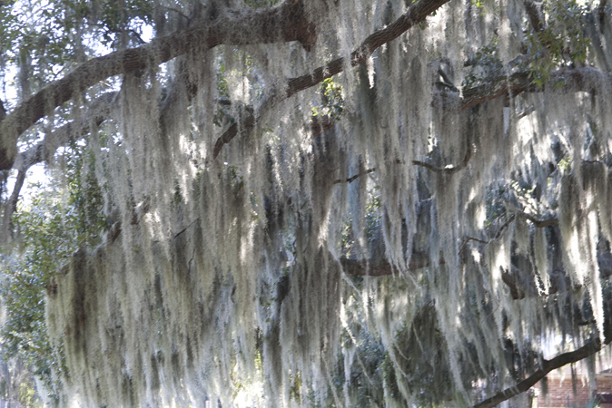 _MG_9314